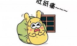 吃瓜群众见面,热议娱乐圈新鲜事