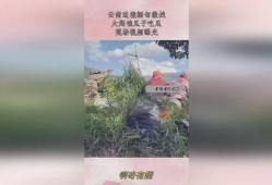 云南大妈吃瓜缅甸,揭秘缅甸生活点滴