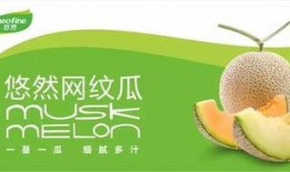 吃瓜群众吃瓜协会,一场全民参与的趣味盛宴