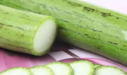 吃瓜脑袋虫,网络热词背后的文化现象