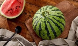 吃瓜上海视频,吃瓜视频背后的城市生活画卷