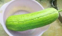 水瓜烂掉可以吃,神奇发酵美食之旅