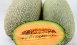 吃哈密瓜会鼻塞,甜蜜背后竟引发鼻塞之谜