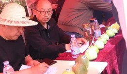 济宁俱乐部吃瓜,揭秘吃瓜群众的欢乐盛宴