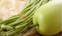 瓠瓜儿童可以吃吗,儿童适宜的蔬菜选择