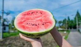 西贝吃瓜视频,揭秘娱乐圈幕后真相