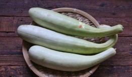 白姨小号吃瓜,一场吃瓜群众的狂欢盛宴