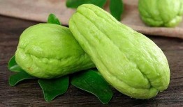 孕妇可以吃瓢子瓜吗,营养与安全的双重保障