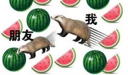 周日吃瓜,揭秘娱乐圈幕后故事