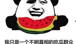 网络吃瓜群众现状,时代变迁下的围观现象解析