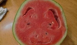 恶魔吃瓜,揭秘黑暗世界的神秘瓜果之谜