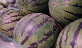 术后可以吃瓜吗,西瓜，美味还是禁忌？