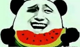 吃瓜疯传,揭秘网络热传背后的真相与趣味