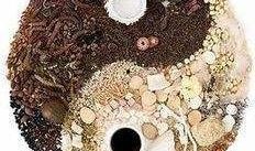 玄学算命吃瓜,揭秘吃瓜群众的命运之谜