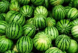 抖音03小网红吃瓜,揭秘娱乐圈幕后真相！”