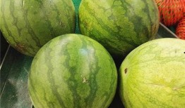 大暑吃瓜乐文章,瓜果飘香，畅享清凉夏日时光