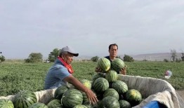 全境吃瓜后续,揭秘娱乐圈背后的秘密与真相