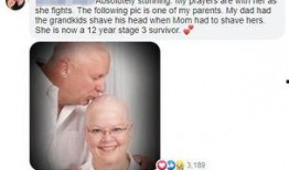 吃瓜夫妻对话,娱乐圈背后的真实故事