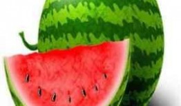 小胖胖吃瓜版,揭秘娱乐圈幕后真相