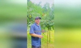 怎样预防小鸟吃瓜,有效预防小鸟偷食瓜果的实用技巧