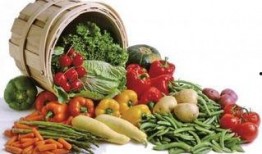 莱山高职吃瓜,揭秘校园里的“瓜田”风云