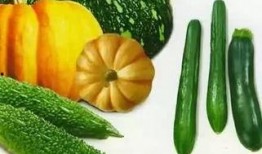 吃瓜梅子,揭秘娱乐圈的甜蜜与苦涩