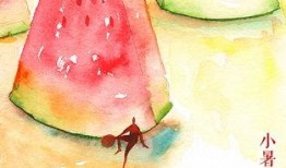 坐瓜怎么吃,解锁夏日清凉美味新体验