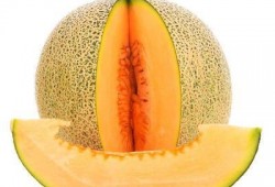 吃哈密瓜的头像