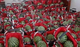 吃瓜连云港,吃瓜群众的欢乐盛宴